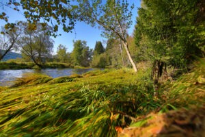 Nationalpark Sumava